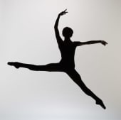 Ballet Arizona Ballet Arizona