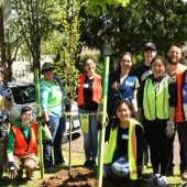 Planting Team