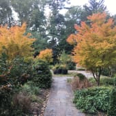 Albright Winter Garden