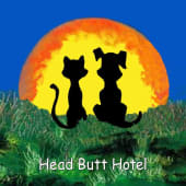 Head Butt Hotel