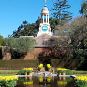 Filoli - Sunken Garden