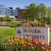 Brandeis University