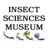 Insect Sciences Museum