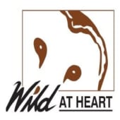 Wild At HeartImage_202011161255