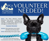 VCC Volunteer Appeal