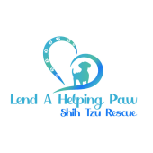 Logo 800x800 Logo 800x800