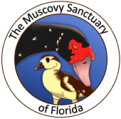 Image_202204180856 Image_202204180856