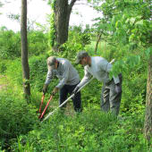 Natural Area Restoration Workday Natural Area Restoration Workday
