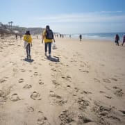 Beach vols