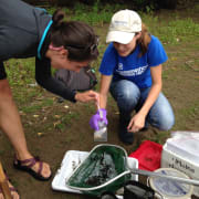 Dragonfly Sampling