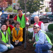 Tree Planting with Korea Embassy