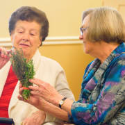 Elder with herbs