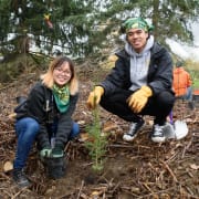 Volunteer Planting Volunteer Planting