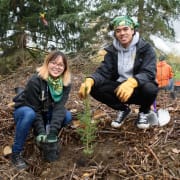 Volunteer Planting