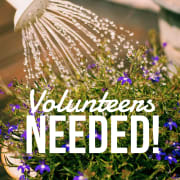 Watering Volunteers Needed Watering Volunteers Needed