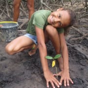 Environmental conservation Environmental conservation