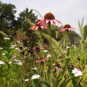 Image_201905080649 Image_201905080649