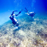 Marine & Environmental Conservation Marine & Environmental Conservation