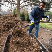 Mulching/Enhancement Project