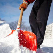 Snowbusters Snowbusters