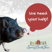 Administrative Help Needed At The Barn The Barn At Spring Brook