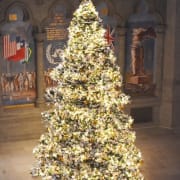 World Tree of Hope World Tree of Hope