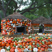 Autumn/Pumpkins Autumn/Pumpkins