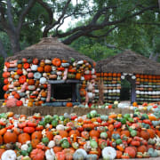 Autumn/Pumpkins