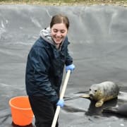 Animal Care Animal Care