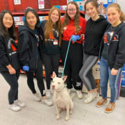 Rescue Club Volunteers Rescue Club Volunteers