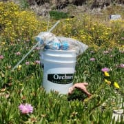 Bucket in field