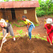 Volunteer Work Uganda