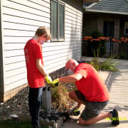 yard clean up yard clean up
