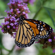 Image_202103051008 Image_202103051008