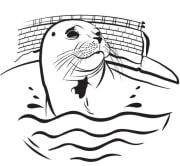 Seal Society of San Diego - Sierra Club San Diego