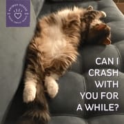 Foster Foster