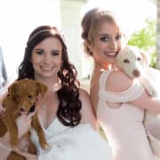 Ruff House Rescue Ruff House Rescue