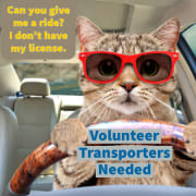Transport Transport