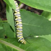 Image_202108201236 Image_202108201236