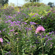 Image_202109151214 Image_202109151214