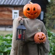 Halloween Halloween