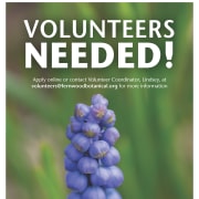 Volunteers Needed Volunteers Needed