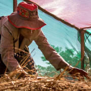 Agricultural Entrepreneurship