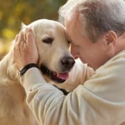 PET THERAPY PET THERAPY
