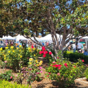 Image_202205201508 Image_202205201508