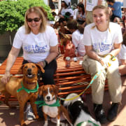 Lucky Paws Animal Rescue Saving Precious Lives One Paw at a Time