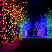 WinterLights