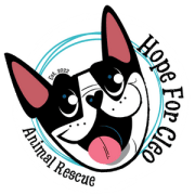 Hope For Cleo Animal Rescue Logo