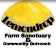 Lemondrop Farm Sanctuary & Community Outreach