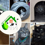 Logo with Cats Logo with Cats